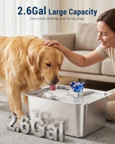 10 L Stainless Steel Dog Water Fountain for Large Dogs (328 Ounce)