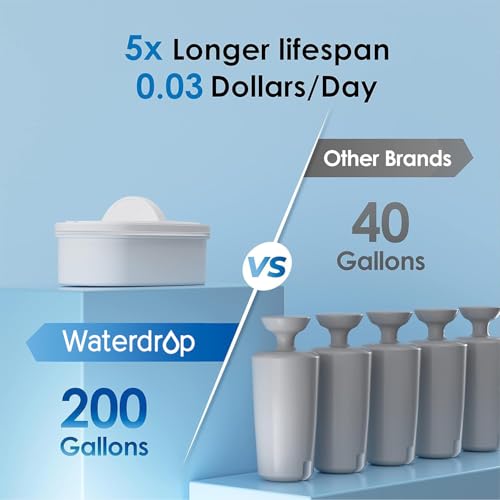 WFD 40B Water Filter Dispenser