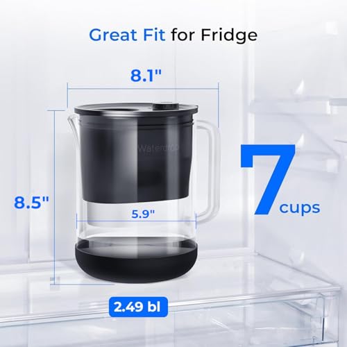 PT 72BL Glass Water Filter Pitcher