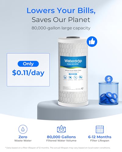 WF10H Whole House Water Filter for WHF21