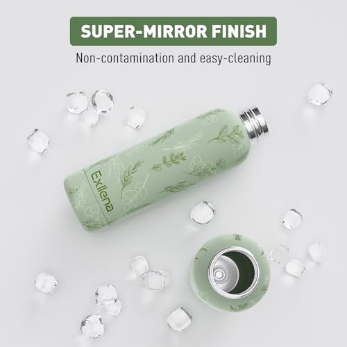 16oz Metal Water Bottle for Travel with Clip