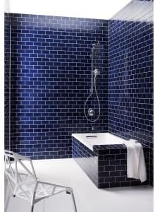 KOHLER K-17493-SN Flipside 01 Multifunction Handshower, Vibrant Polished Nickel