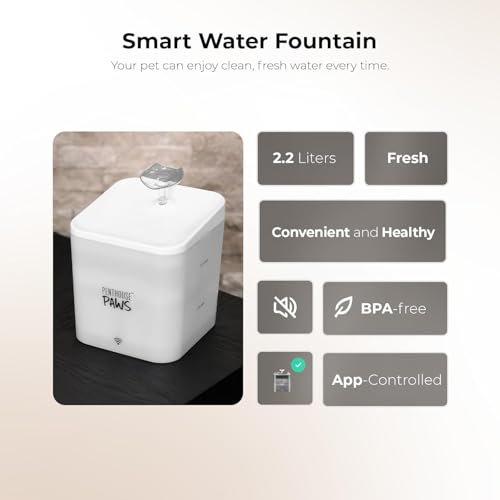 Smart Cat Water Fountain