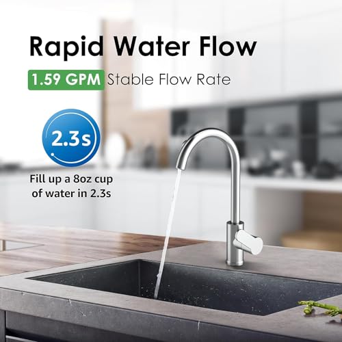 P1 Water Filter Replacement for TST (2 Count)