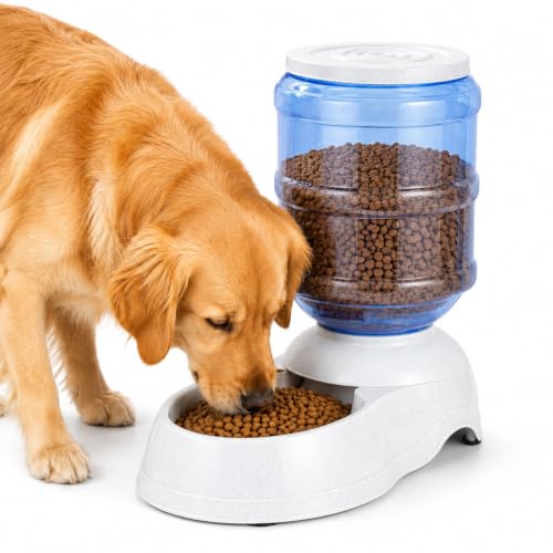 Automatic Dog Feeders