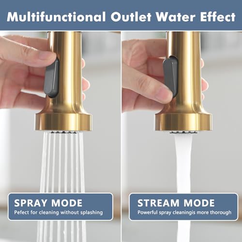 Kitchen Faucet with Pull Down Sprayer Black and Gold