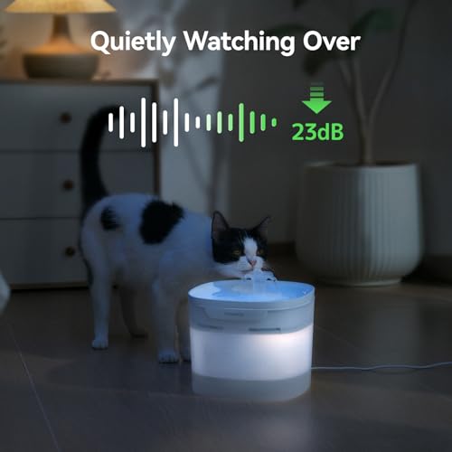 Pumpless Cat Water Fountain