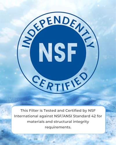 W10295370A Refrigerator Water Filter for 1RXD1 Compatible with Filter 1