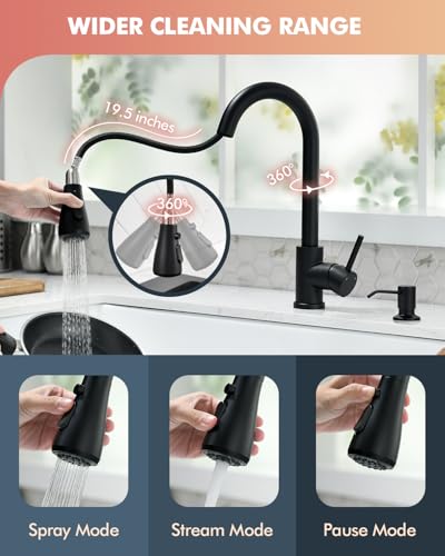 Kitchen Faucet with Pull Down Sprayer and Soap Dispenser