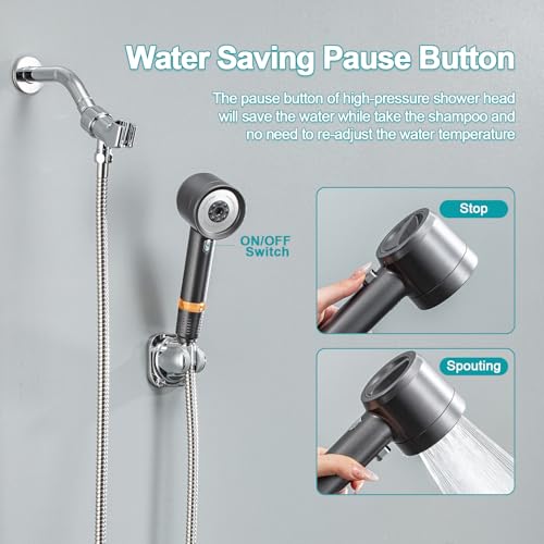 Shower Head with Handheld