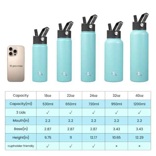 22 oz Insulated Stainless Steel Water Bottle with Straw Lid