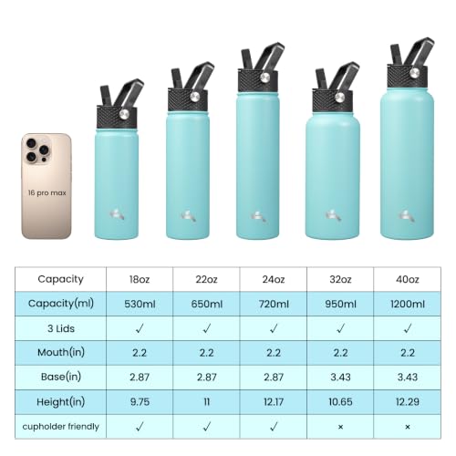 24 oz Insulated Stainless Steel Water Bottle with Straw Lid