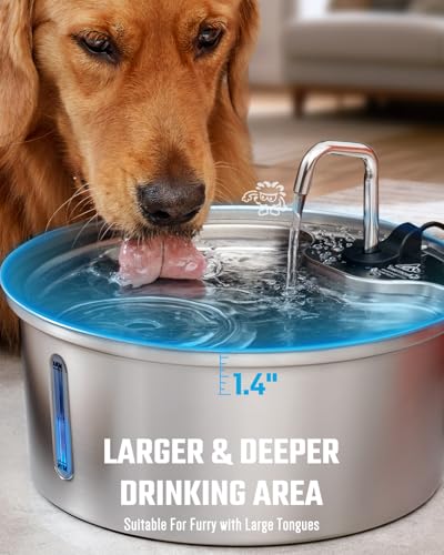 Dog Water Fountain Stainless Steel