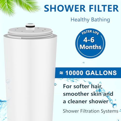 Water Replacement Filter for Shower Head (2 Count)