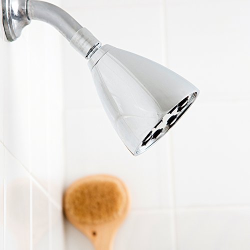 S 2251 Signature Icon Anystream Adjustable High Pressure Shower Head