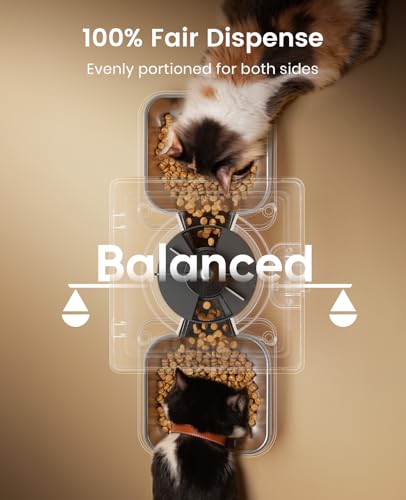 Automatic Cat Feeder for 2 Cats Pets
