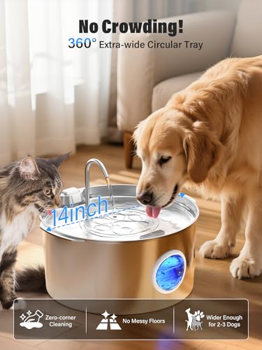 3.4Gal Dog Water Fountain for Large Dogs