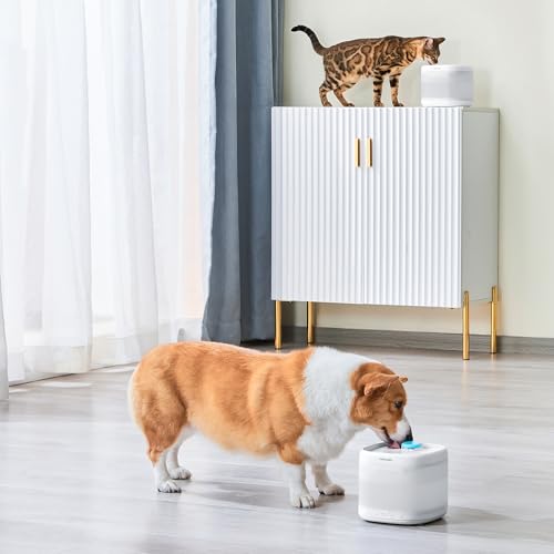 3Pcs Cat Water Fountain Filter Compatible with 67oz