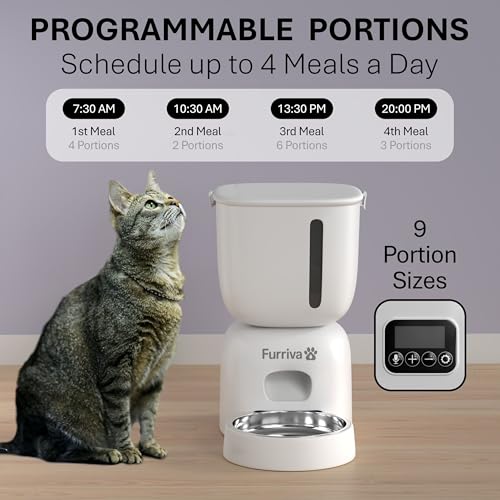 Automatic Cat Feeder and Water Fountain Set