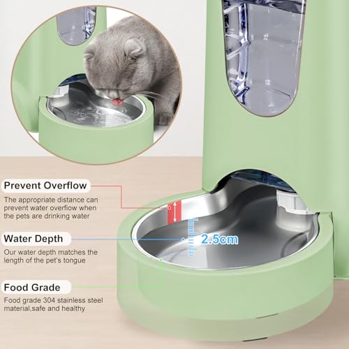 2 Pack Automatic Cat Feeder and Stainless Steel Water Dispenser