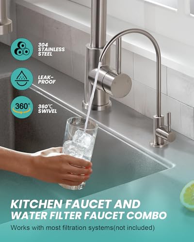 Kitchen Faucet and Water Filter Faucet