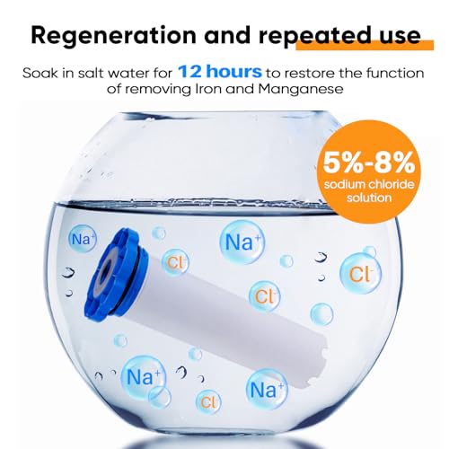1 Stage Whole House Water Filter