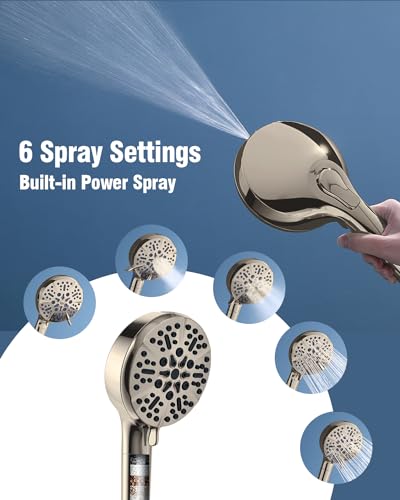 Filtered Shower Head with Handheld Brushed Nickel