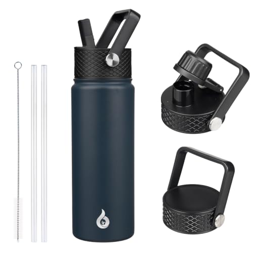 22oz Insulated Water Bottle with Straw Lid