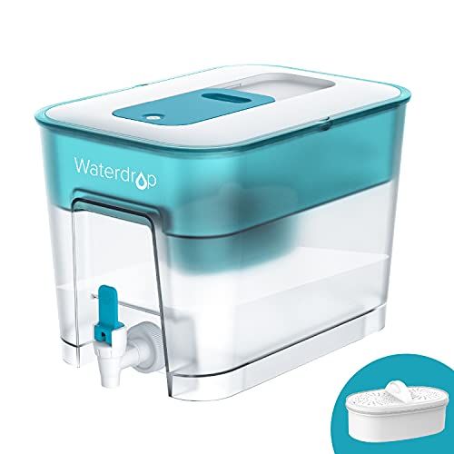 WFD 22B Large Water Filter Dispenser