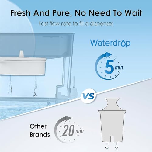 WFD 22L Large Water Filter Dispenser