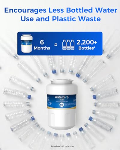Plus WDP F13 Water Filter (2 Count)