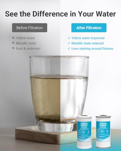 WF10FG Whole House Water Filter for WHF21 (2 Count)