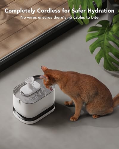 Cordless Cat Water Fountain