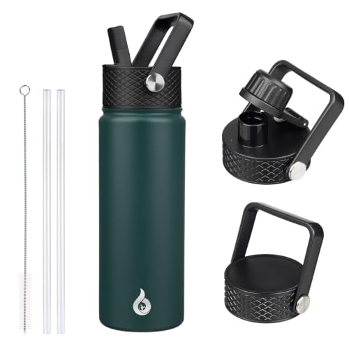 22oz Insulated Water Bottle with Straw Lid
