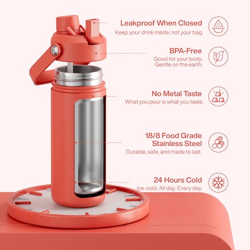 Insulated Water Bottle with Straw Stainless Steel Water Bottle