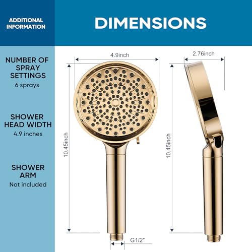 Filtered Shower Head with Handheld