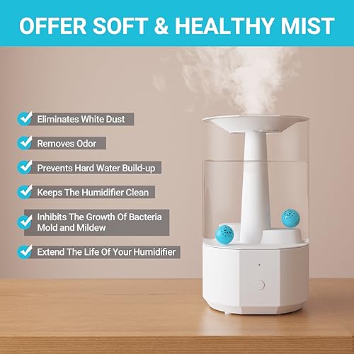 Humidifier Cleaning Ball (3 Count)