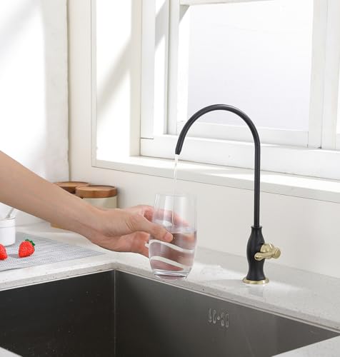 Drinking Water Faucet
