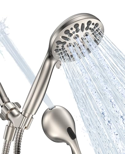 Shower Head with Handheld