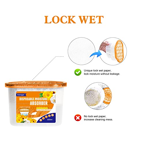 Moisture Absorber Box
