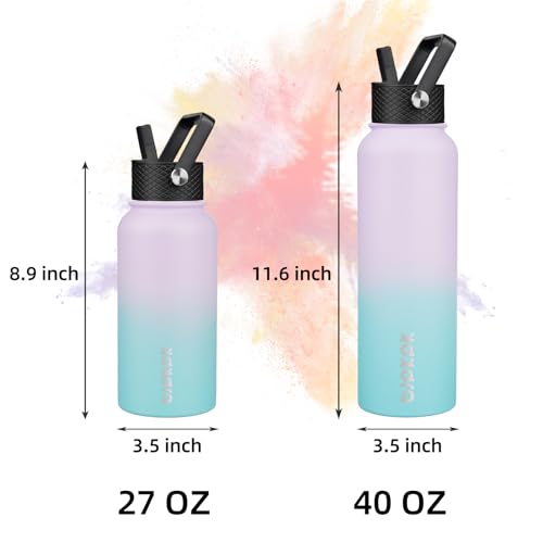 27oz Insulated Water Bottle with Straw Lid