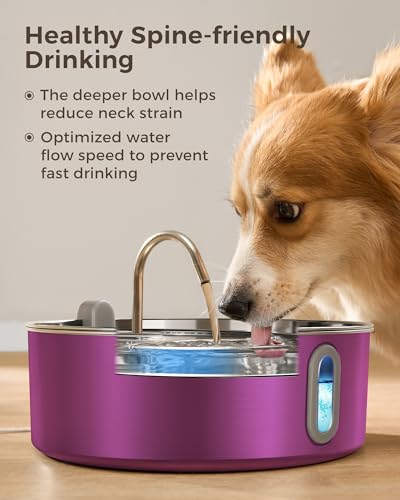 7L 236oz Stainless Steel Dog Water Fountain for Large Dogs