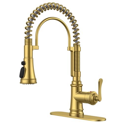 Gold Kitchen Faucet with Pull Down Sprayer