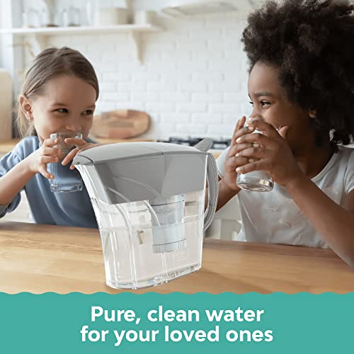 Water Pitcher Filter Refills (3 Count)