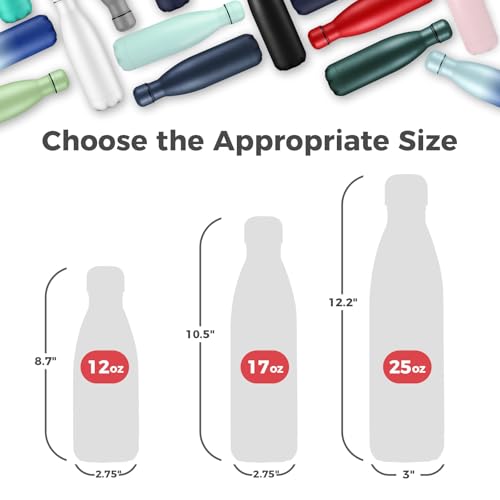 17oz Insulated Stainless Steel Water Bottle