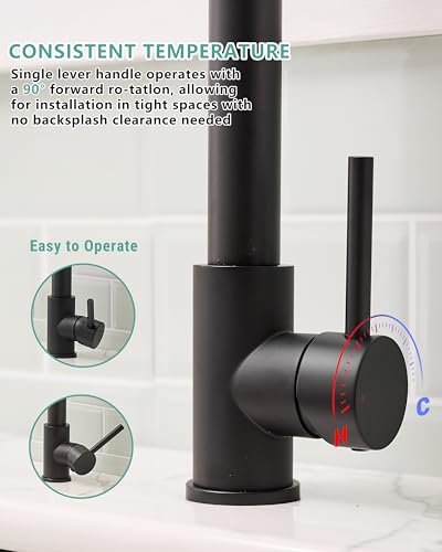Black Kitchen Faucet
