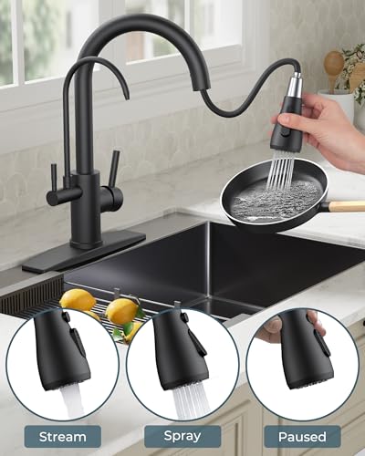 Kitchen Faucets with Purified Water