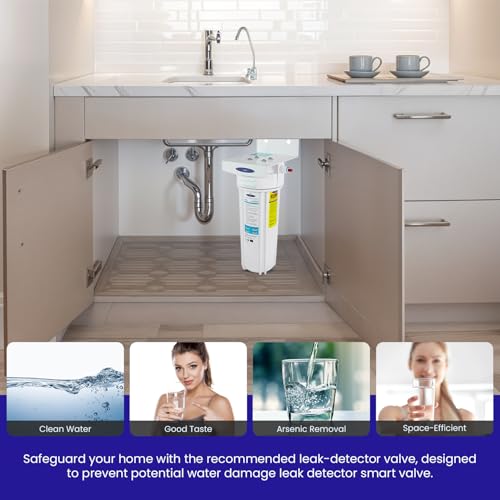 Single Under Sink Arsenic Water Filter