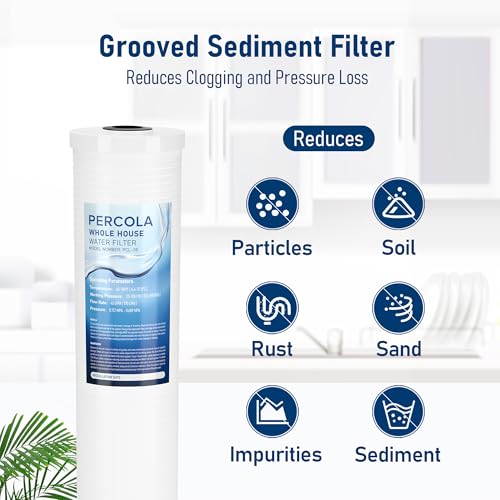 AP810-2 High-Capacity Whole-House Replacement Water Filter