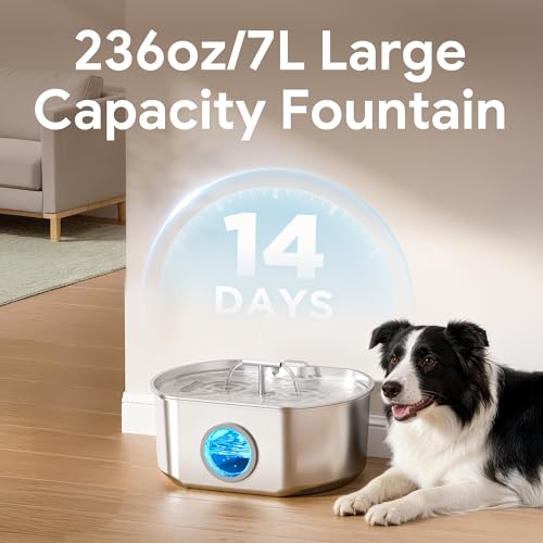 Cat Water Fountain Stainless Steel